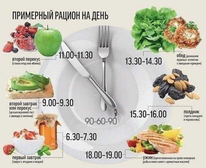 Правильное спортивное питание как основа эффективного роста мышц | minus100kg.ru