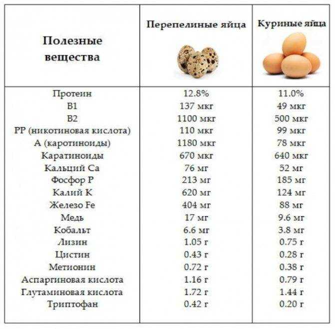 Куриные яйца: польза и вред, калорийность, виды, состав и срок годности