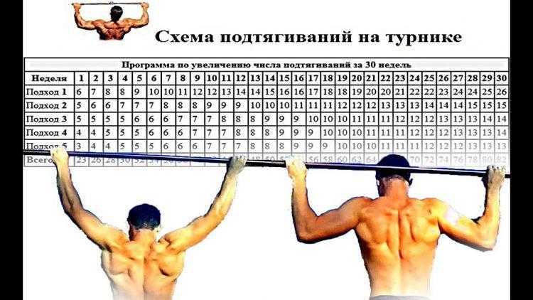 Как научиться подтягиваться на турнике с нуля: схема тренировок, полезные рекомендации - tony.ru