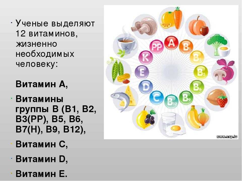 Какие витамины в организме. Самые важные витамины для человека. Витамины в организме человека. Необходимые витамины. Витамины необходимые для организма.