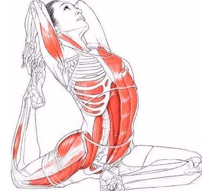 Восстановление мышц после тренировки: полная инструкция