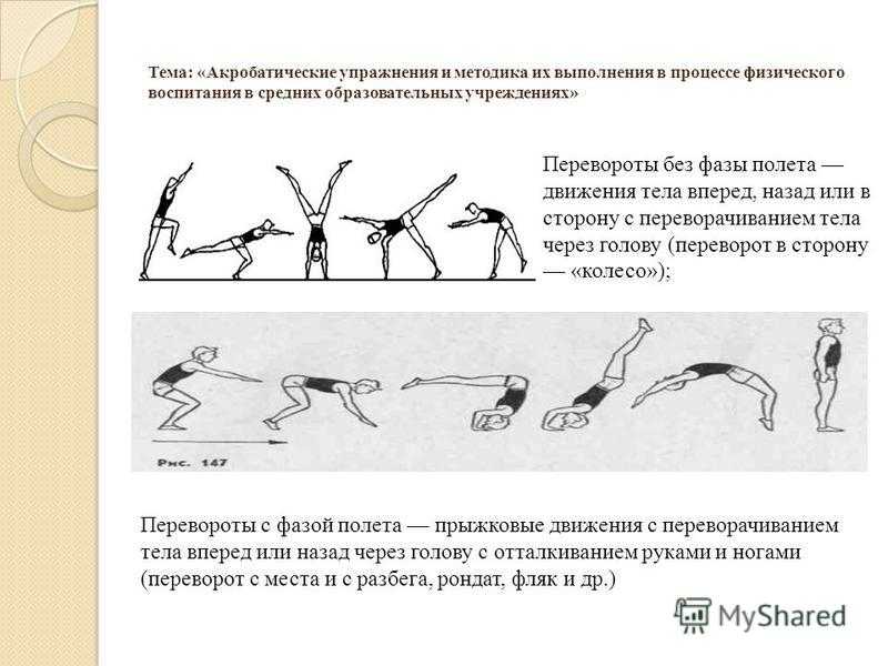 Наклоны с гантелями: техника и польза упражнения | rulebody.ru — правила тела