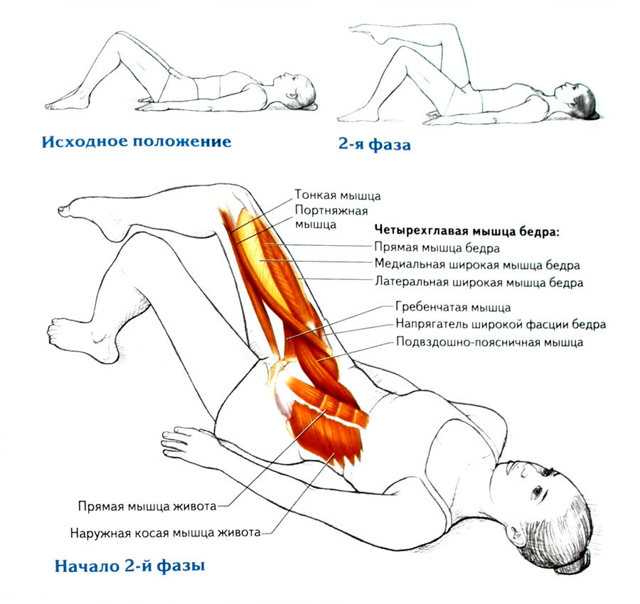 Топ лучших упражнений на широчайшие мышцы спины