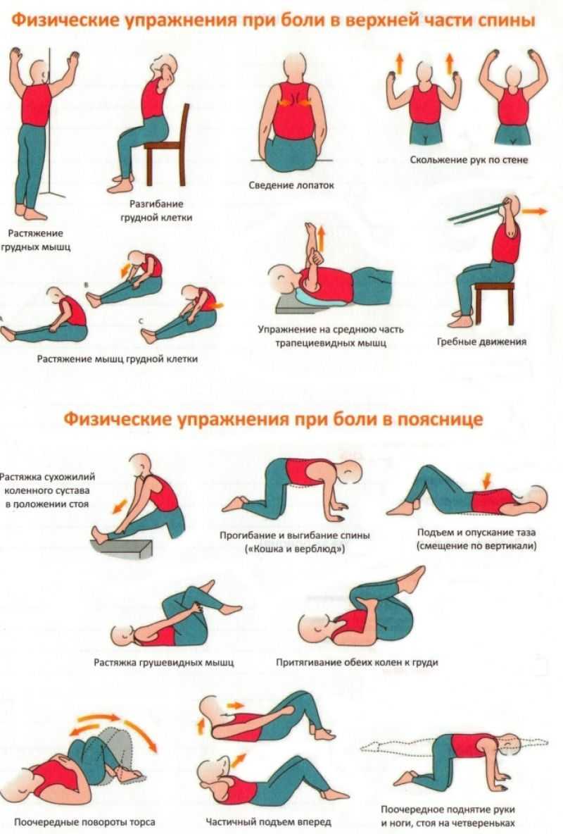 Упражнения для развития и укрепления мышц спины