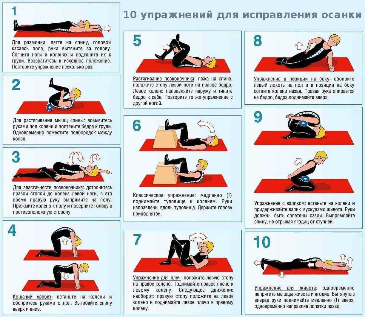 Упражнения для спины: 8 эффективных упражнений для тренировок мышц спины в зале и дома