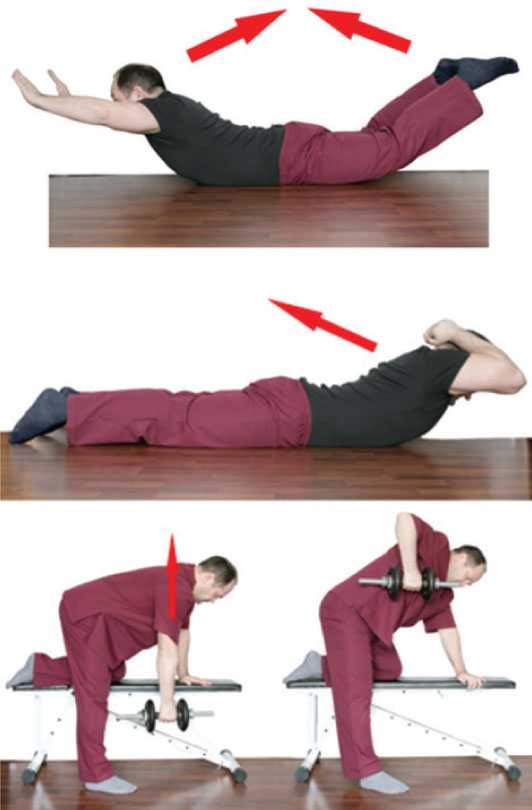 10 упражнений для спины, эффективность которых подтверждена учёными - лайфхакер