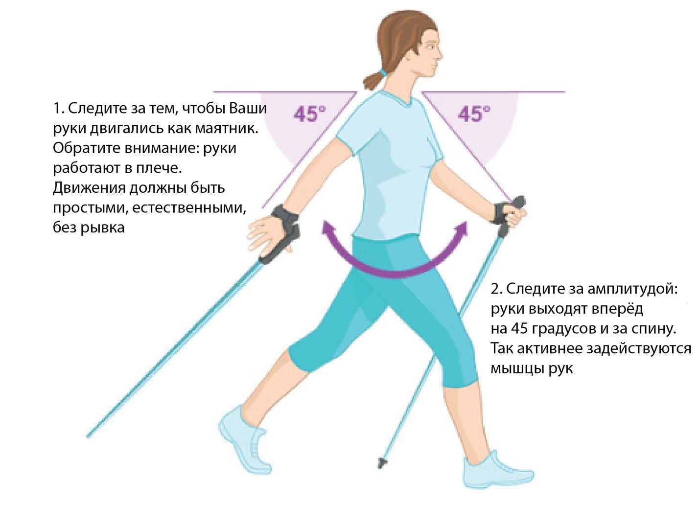 Полезные советы тем, кто хочет заняться скандинавской ходьбой Выбор палок, техника ходьбы, польза и противопоказания