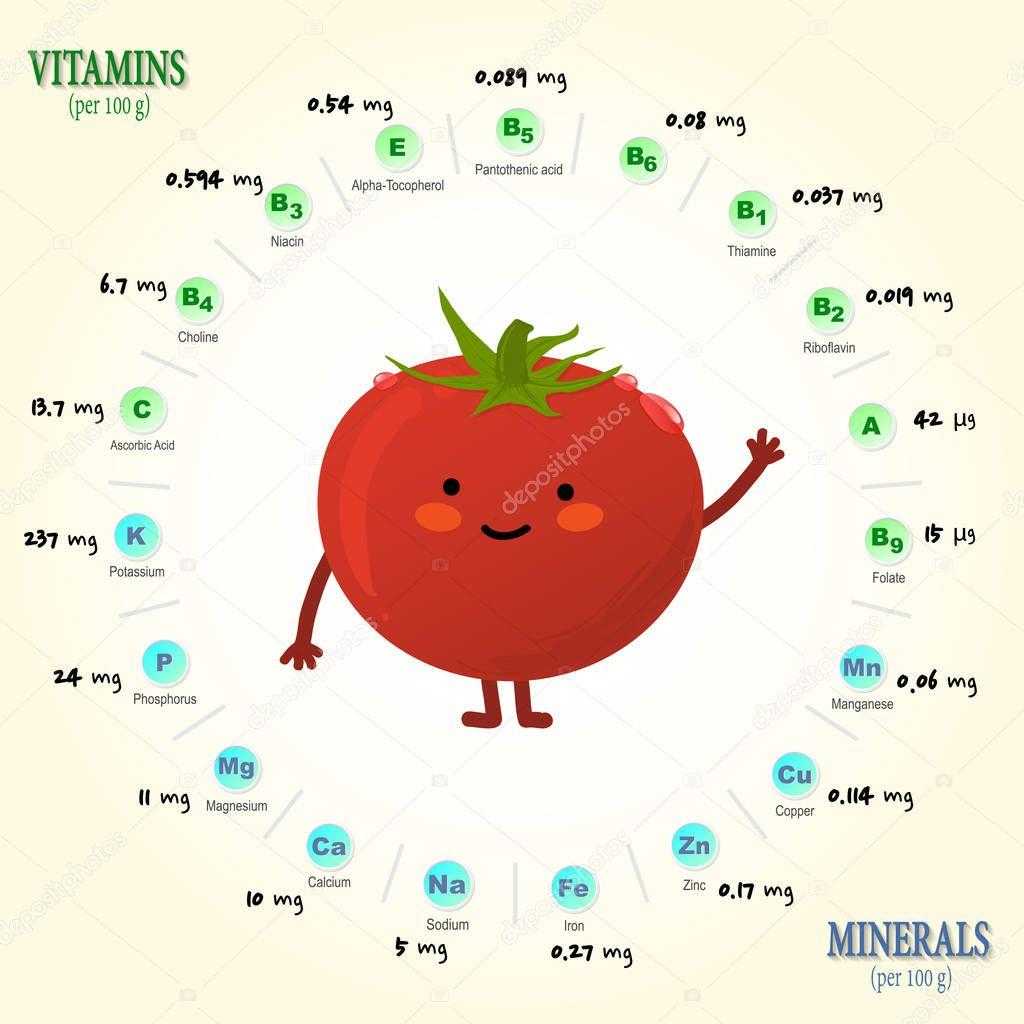 Какие витамины содержатся в помидорах: таблица