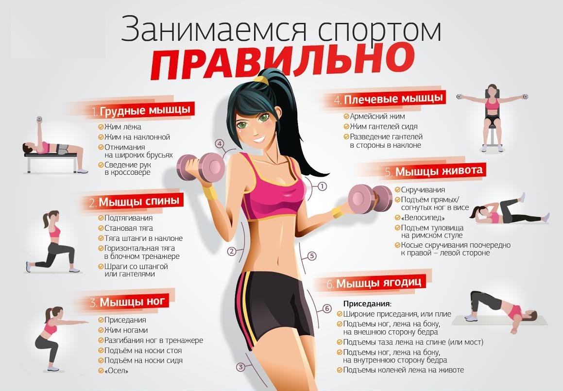 Тренировки дома для девушек на все группы мышц: самые эффективные комплексы упражнений
