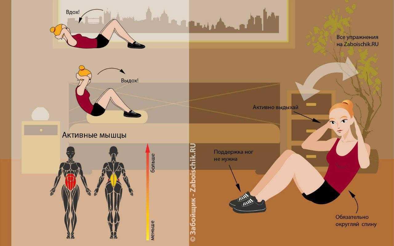 Упражнения со штангой в домашних условиях: недельная программы тренировок для мужчин и девушек