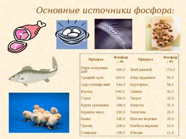 Растения содержащие фосфор. Основные пищевые источники фосфора. Источники кальция и фосфора в продуктах питания. Основной источник фосфора в продукте. Источники фосфора в продуктах.