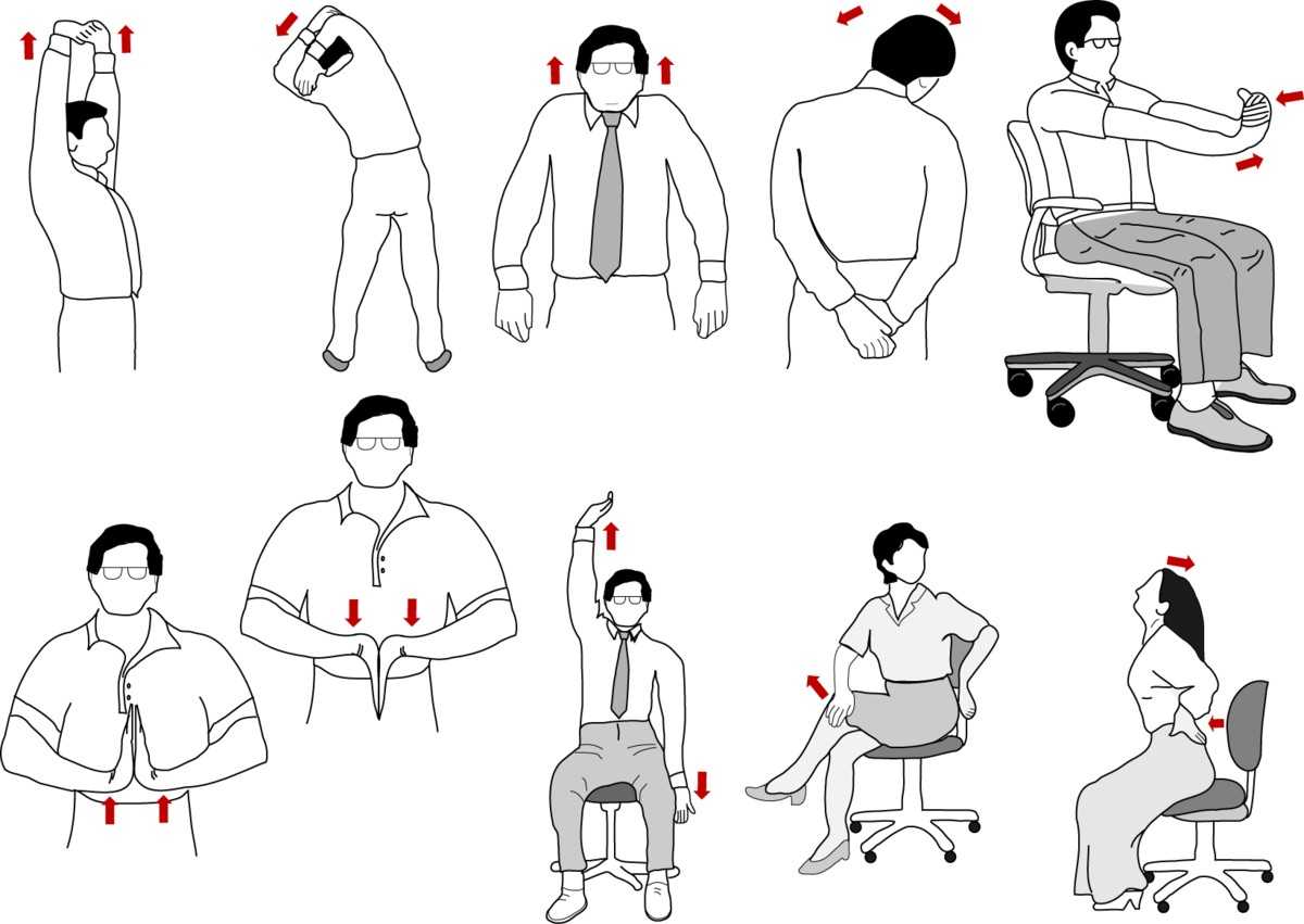 Какие упражнения нужно делать офисному сотруднику, чтобы сидячий образ жизни не сказался на здоровье