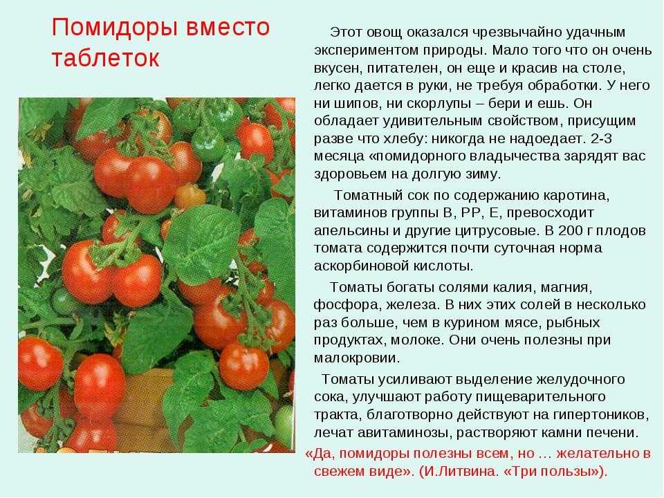 Лечение помидорной ботвой: как помогает настой ботвы помидор, применение листьев томатов в народной медицине
