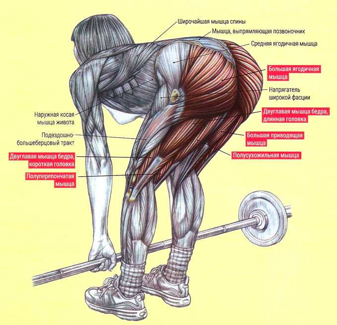 Становая тяга — мощное базовое упражнение, способствующее росту силы и укреплению мышц Правильная техника выполнения классической тяги, секреты и правила
