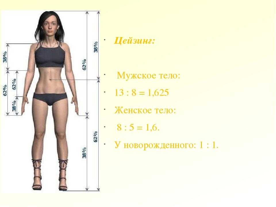 Тело насколько. Женские пропорции. Идеальные пропорции тела. Пропорции женской фигуры. Правильные пропорции тела женщины.