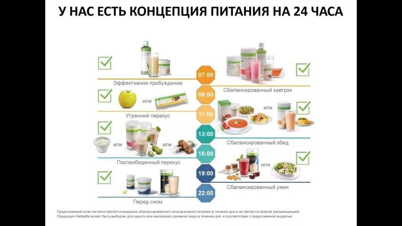 Сбалансированное питание при приеме «гербалайфа»: меню на каждый день, видео и правильные продукты
