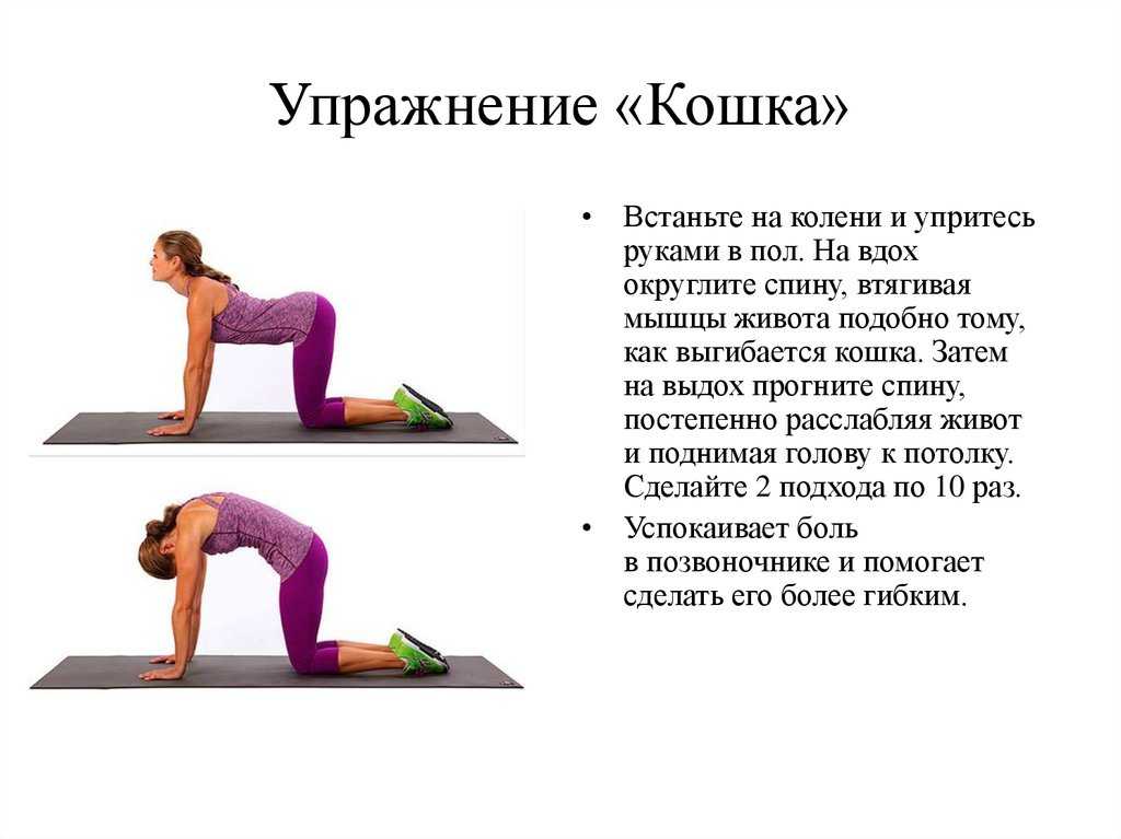 Упражнения лежа на животе для позвоночника и спины