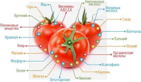 Польза помидоров - 110 фото и варианты применения томатов в рационе питания