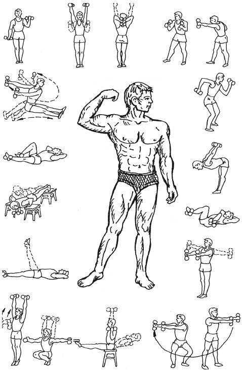 Программа тренировок на всё тело с гантелями