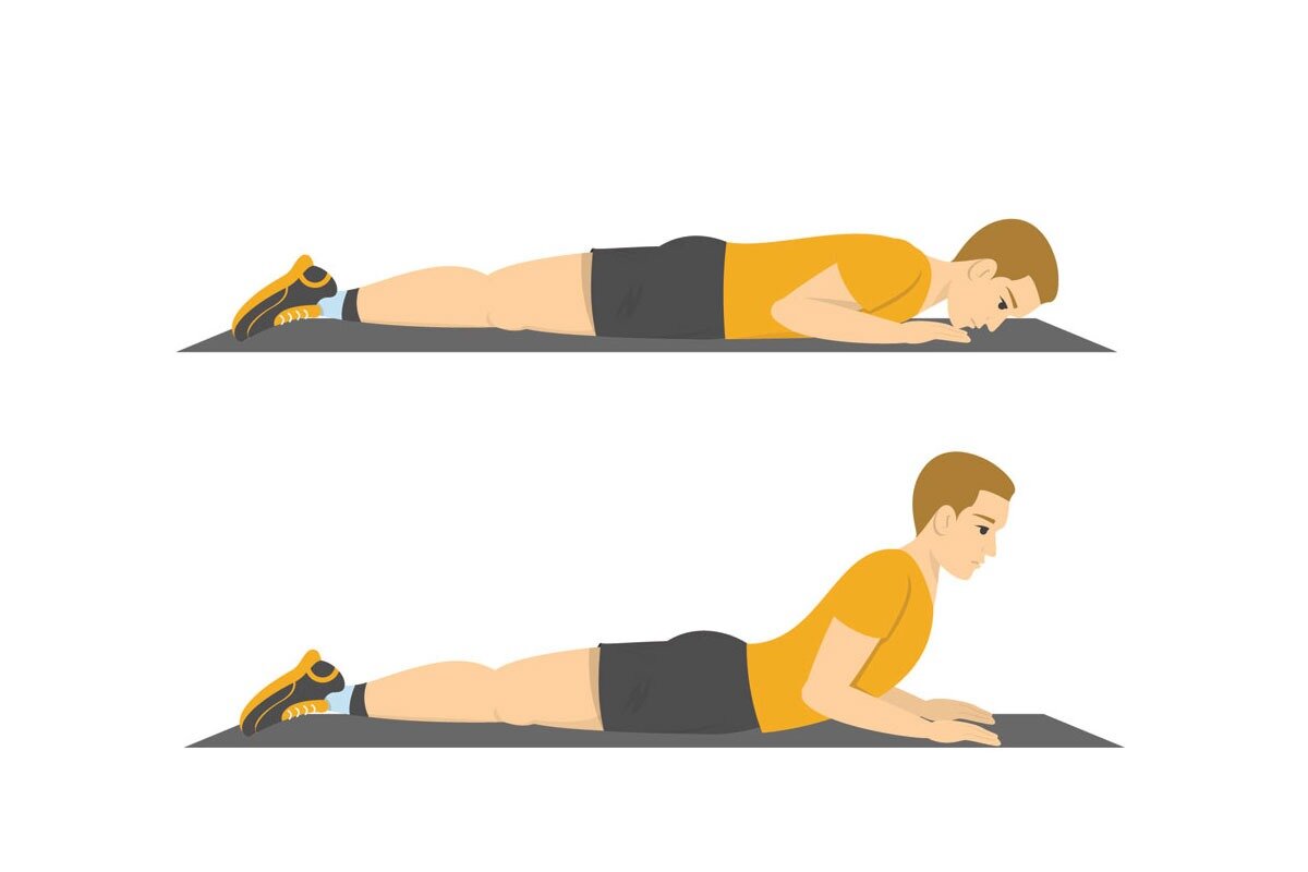 Упражнения для укрепления мышц спины в домашних условиях и зале