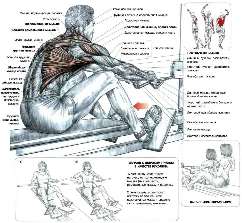 Как быстро накачать косые мышцы спины