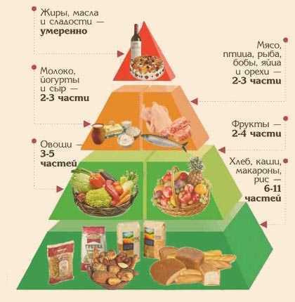Правильное и сбалансированное питание для спортсменов | proka4aem.ru