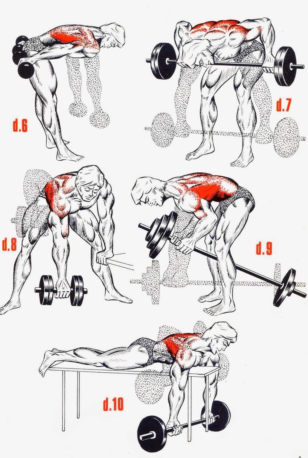 Самые эффективные упражнения для спины – методика укрепления мышц в домашних условиях. топ-30 тренировок + пошаговая инструкция с фото