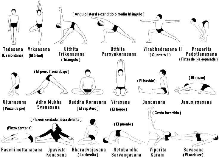 Современные стили и направления йоги - асаны и виньясы